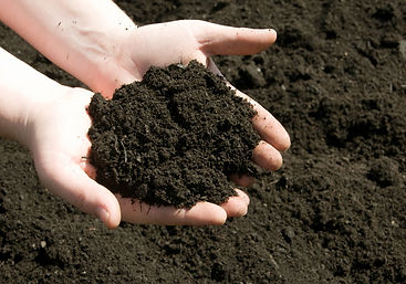 person_hands-holding-soil_5y9230.jpg