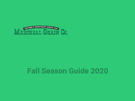 Fall Season Guide to Organic Lawn Care for North Texas