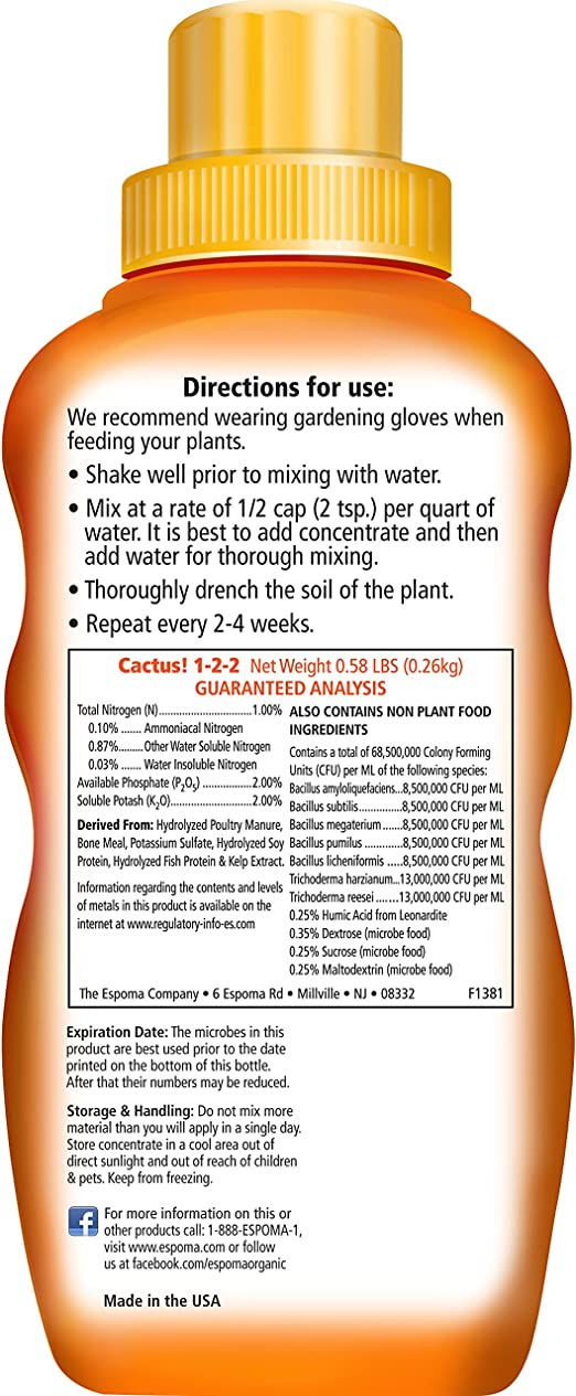Thumbnail: Cactus and Succulent Food