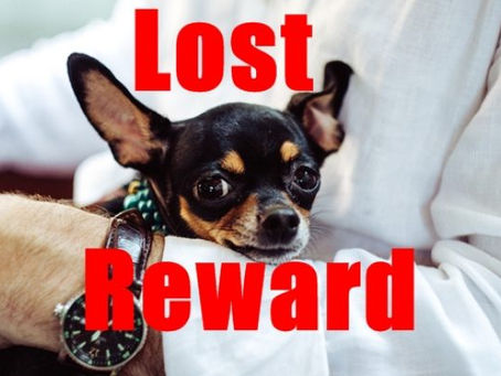 KEEP YOUR PETS CLOSE TO HOME