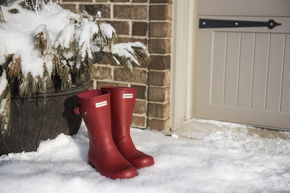 rubber boots on snow-covered ground, house, door, plant covered in snow