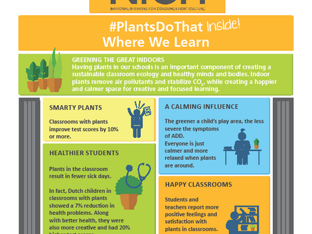 Houseplants Make Us Smarter