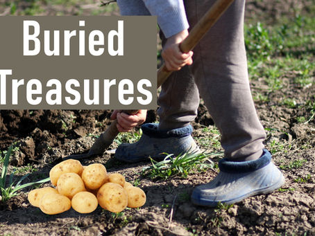 Buried Treasures: Episode 2, Spring Vegetable Gardening Series