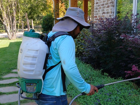 North Texas Lawn Care Tip: Which Fertilizer Is Better: Granular or Liquid?