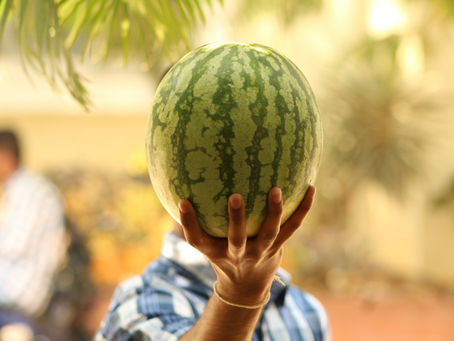 How to Grow Watermelons