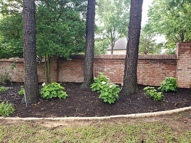 ashmore_085819.jpg