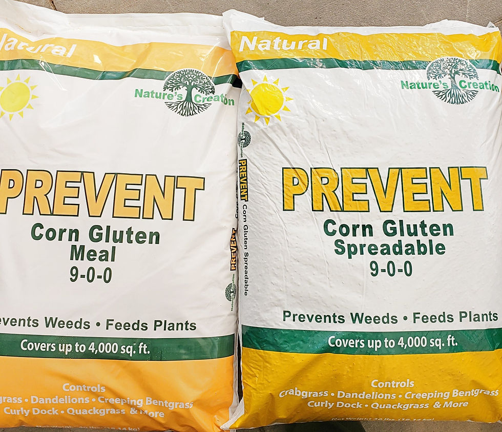 Organic Weed Control