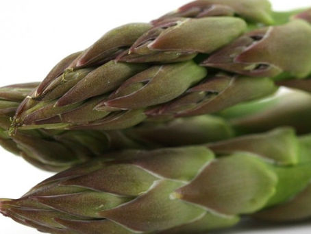 HOW TO GROW ASPARAGUS