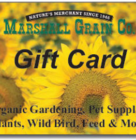 Gift-Card-MGC.jpg