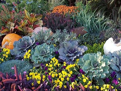 5 Reasons Why You Should Plant in the Fall