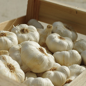 garlic-3164849.jpg