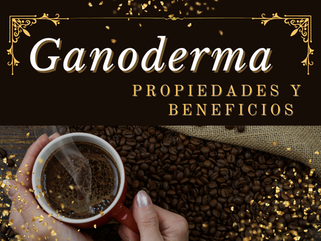 Ganoderma: el hongo de la vida