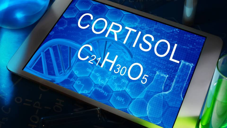 Cortisol C21 H30 O5