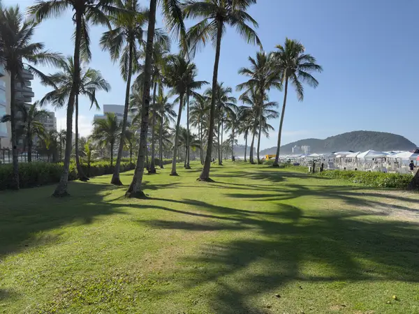 Jardim compartilhado (PI) do Módulo 06 da Riviera de São Lourenço, usado pelo Edifício Itaperubá
