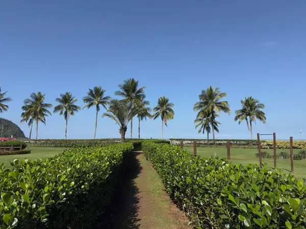 Jardim compartilhado (PI) do Módulo 08 da Riviera de São Lourenço, usado pelo Edifício Splendor