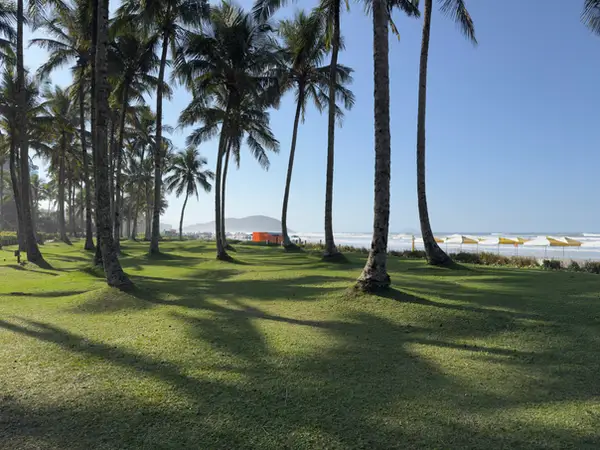 Jardim compartilhado (PI) do Módulo 04 da Riviera de São Lourenço — foto 13