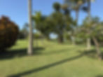 Jardim compartilhado do módulo 05 na Riviera de São Lourenço