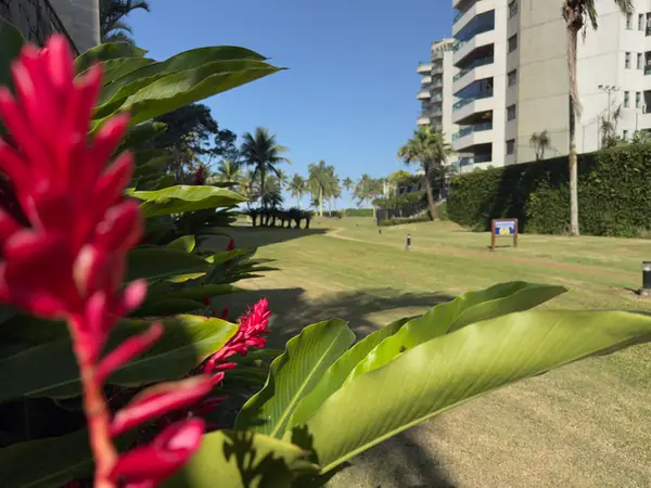 Jardim compartilhado (PI) do Módulo 06 da Riviera de São Lourenço, usado pelo Edifício Itaperubá