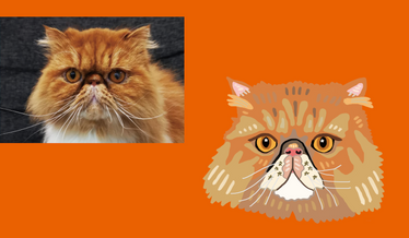 螢幕截圖 2022-06-11 下午9.49.24.png