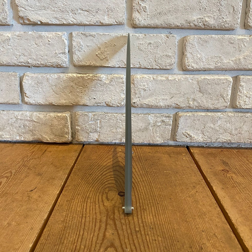 サムネイル： BEACHED DAYS   AQUATIC DIVISION  Singles Fin