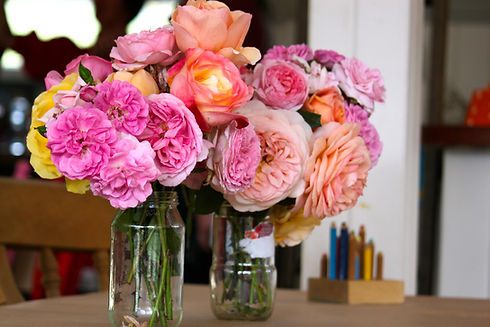 ANGUS AND ROSE 5.jpg