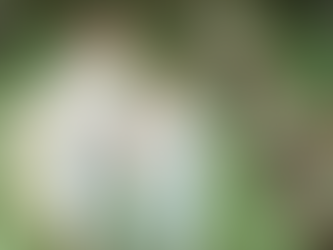 結婚式の代行・代理出席・サクラ・エキストラ派遣!友人、同僚、家族までまるっとレンタル可能!