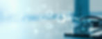 iStock-1369987284.jpg