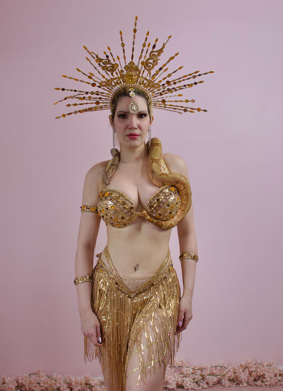 Snake Charmer dancer NJ NY PA CT