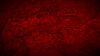 Red grunge texture.jpg