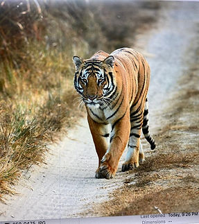 WhatsApp Image 2022-12-24 at 9.35.16 PM (2).jpeg