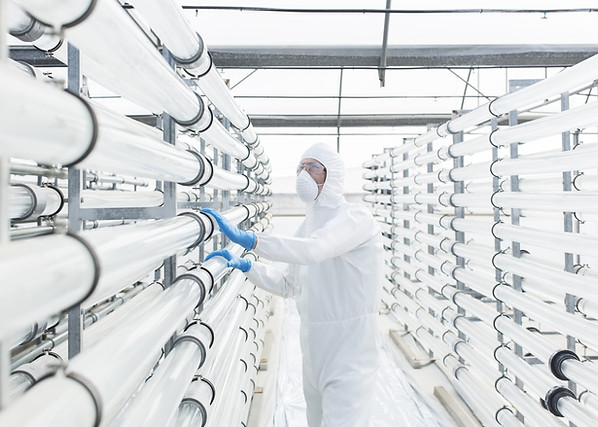 Engineer in Laboratory