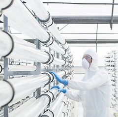 Ingenieur in Labor