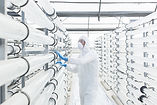 Engenheiro em Laboratório