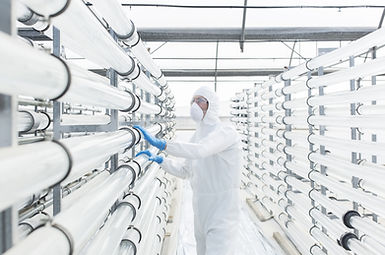 Engineer in Laboratory