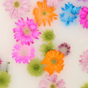 Creative Photography Workshop