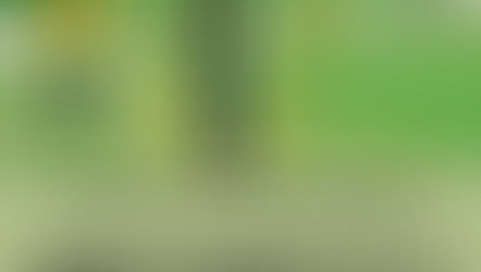 PARKE OSASUNGARRIAK - URRIAK 25