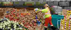 Commercial Food Waste
