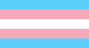 Representation of Trans people in the media