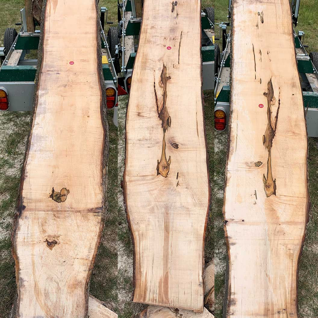 Maple Planks for Sale