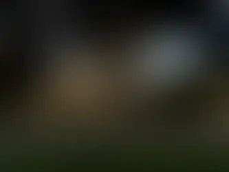 Strengthening Assisted Living Regulations: Impact on Resident Safety and Urinary Incontinence Care