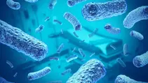 CDC Data Shows 27% Drop in U.S. Hospital-Acquired Infections, But Key Challenges Remain