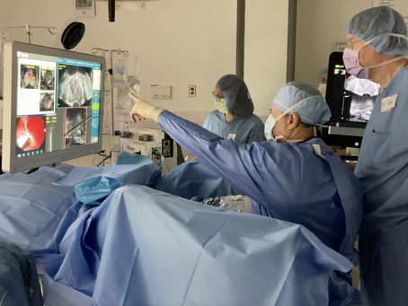 Is it possible to eliminate prostate cancer with steam?