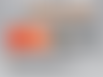 Prediction of High-grade Prostate Cancer Following Multiparametric Magnetic Resonance Imaging: Improving the Rotterdam European Randomized Study of Screening for Prostate Cancer Risk Calculators