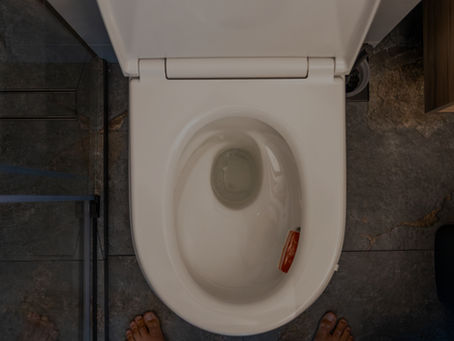 Study on the air gap effect when closing toilet lid on droplet and pathogen escaping from flushing