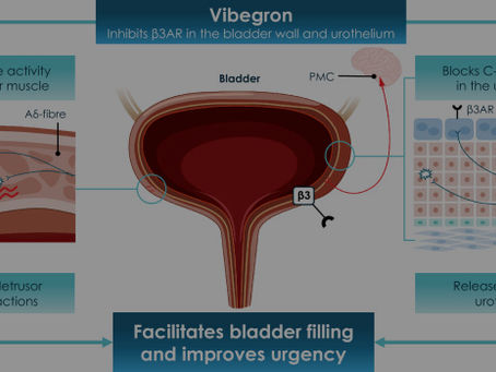Vibegron in overactive bladder: a comprehensive review of efficacy, safety and patient-reported outcomes
