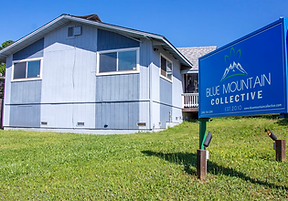 BM WM Mobile 2025.png