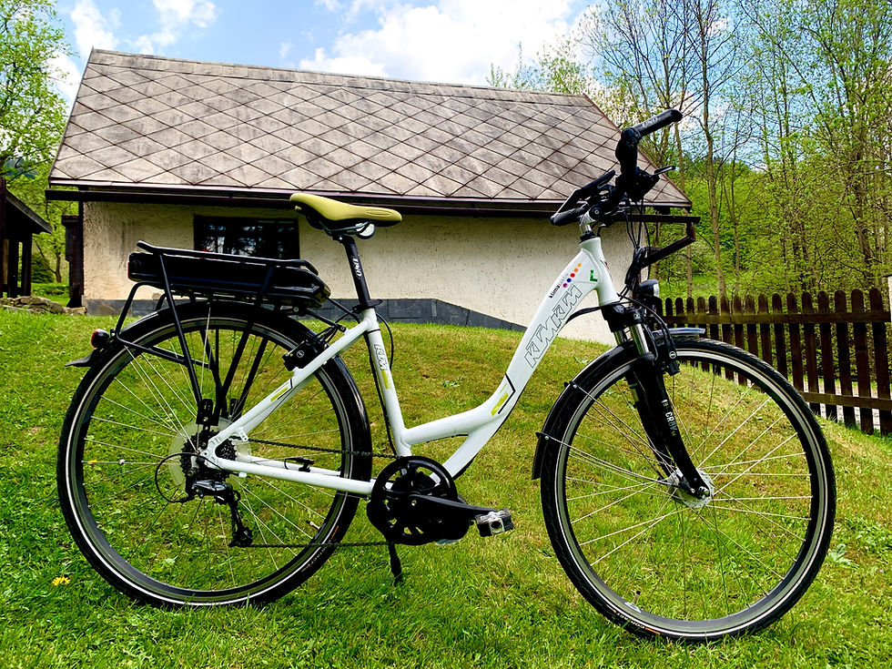 Miniatura: Nosičová baterie 20AH 36V