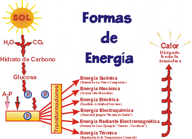 FORMAS DE ENERGÍA