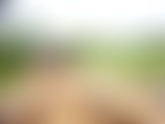 Prefeitura do Quinarí Recupera Ponte no Assentamento Pirã de Rã