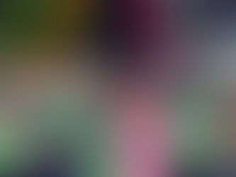 Quinari Caipira é sucesso em Senador Guiomard